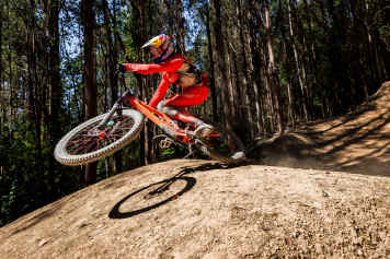 Irrsinn im Dschungel - wir sagen euch, wer gewinnt
