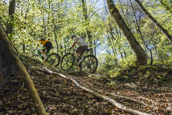Welche Gravel-Gruppe passt zu Dir?