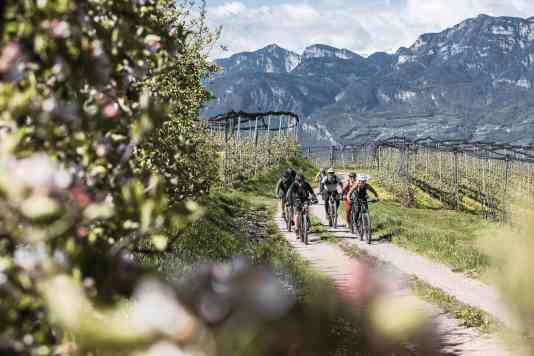 3 Trailtouren fürs Frühjahr