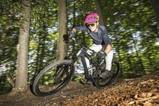 Ein herrlich normales Trailbike