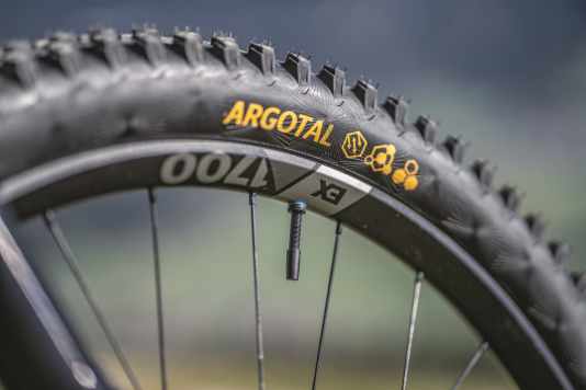 Reifen und Laufräder an MTB, Road- & Gravelbike