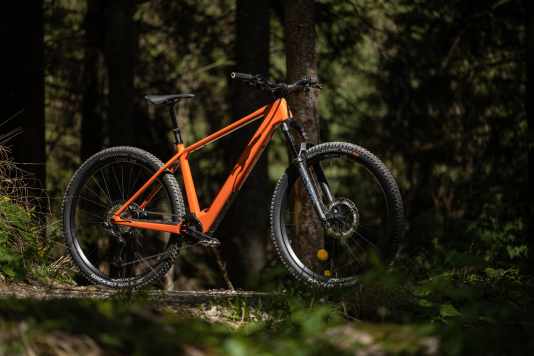 Der Motor macht dieses Bike günstiger