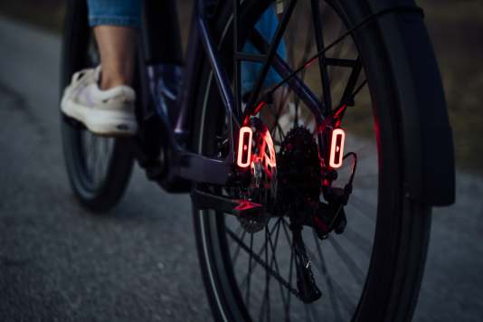 Preis-Leistungs E-Bikemarke startet durch