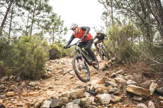 Cube AMS Hybrid 177 vs. Rose Slab Plus