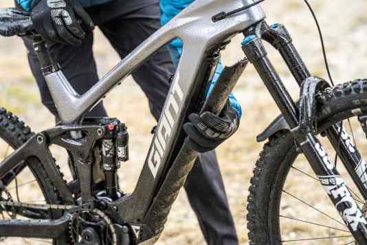 Graue Maus oder goldene Mitte?