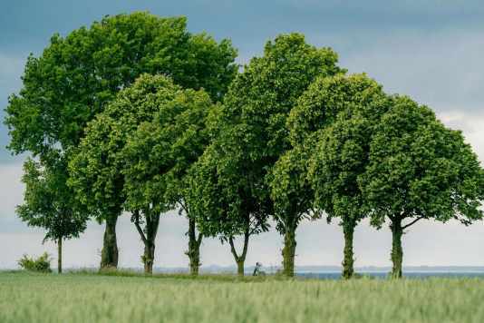 Die 2807 Höhenmeter von Hamburg