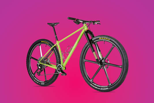 Leovelo Goliath im Bike-Check