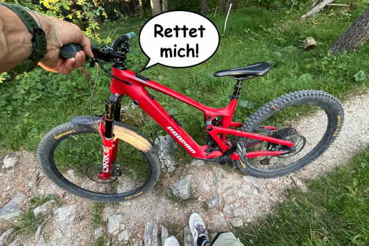 Minimal-Assist-Bikes: Vom Aussterben bedroht, doch wieso nur?