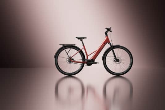 Günstig & alltagstauglich - E-Bike mit Riemenantrieb