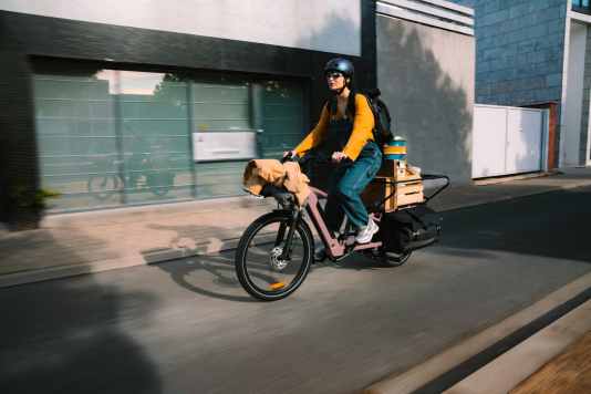 Flexibel transportieren mit dem BʼTwin E Three 500