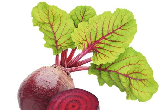 Rote Bete