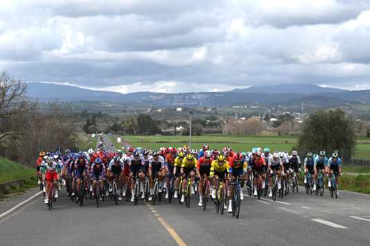 Ergebnisse im Überblick