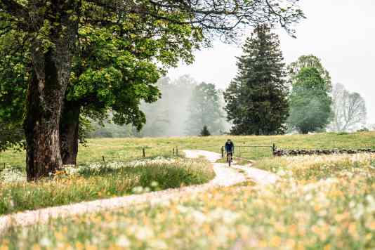 Bikepacking-Abenteuer in der Schweiz