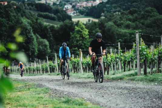 Gestörte und Wilde in der Südsteiermark