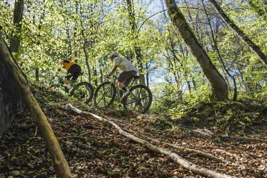 Welche Gravel-Gruppe passt zu Dir?