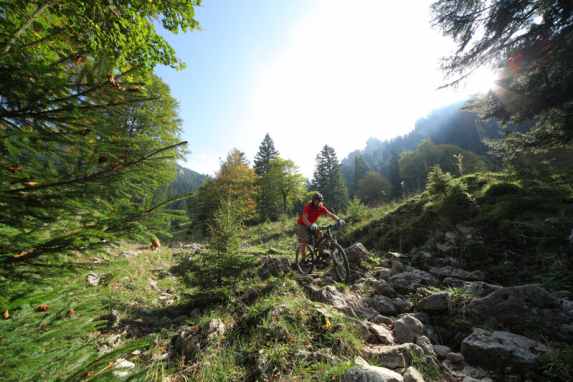 MTB-Trail an der Benediktenwand