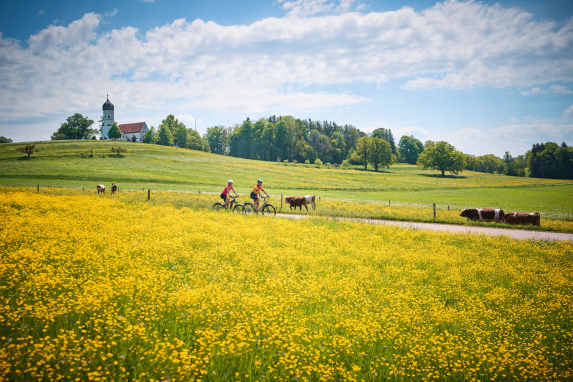 So vermeiden Sie Insektenstiche beim Radfahren