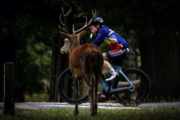 Das müssen Radsportler dazu wissen