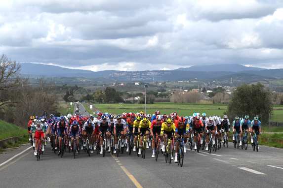 Ergebnisse im Überblick