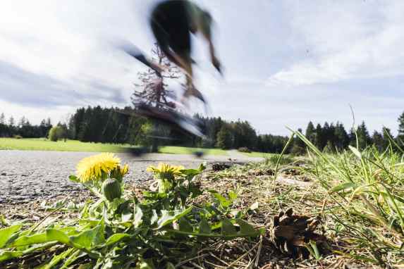 Checkliste für Reifen und Laufräder