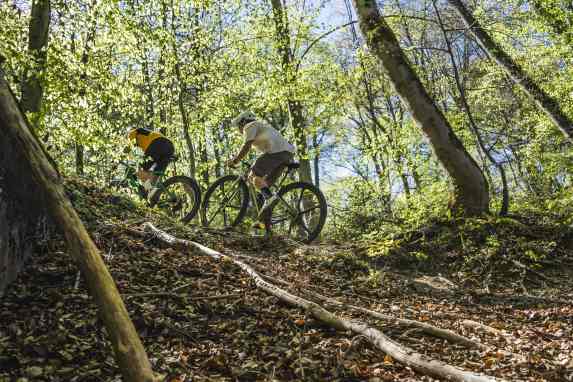 Welche Gravel-Gruppe passt zu Dir?
