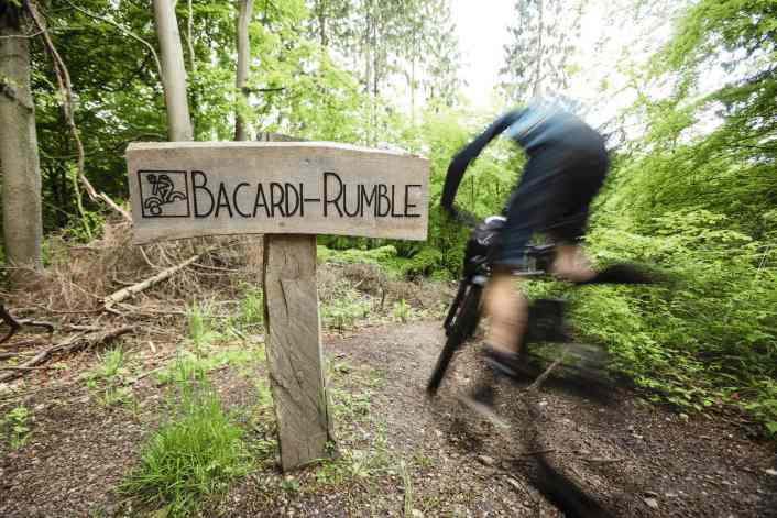 Trail happiness: six MTB trails in Germany