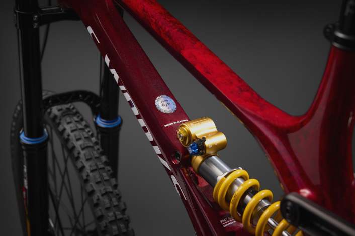 50 Downhill-Unikate mit Weltcup-Geschichte