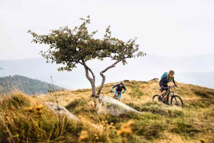 Wellenritt durch die Vogesen