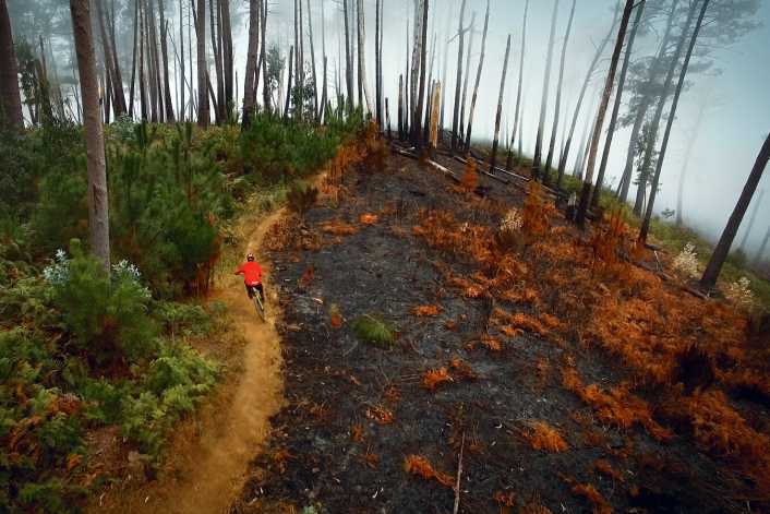 5 Trails, die du fahren musst!