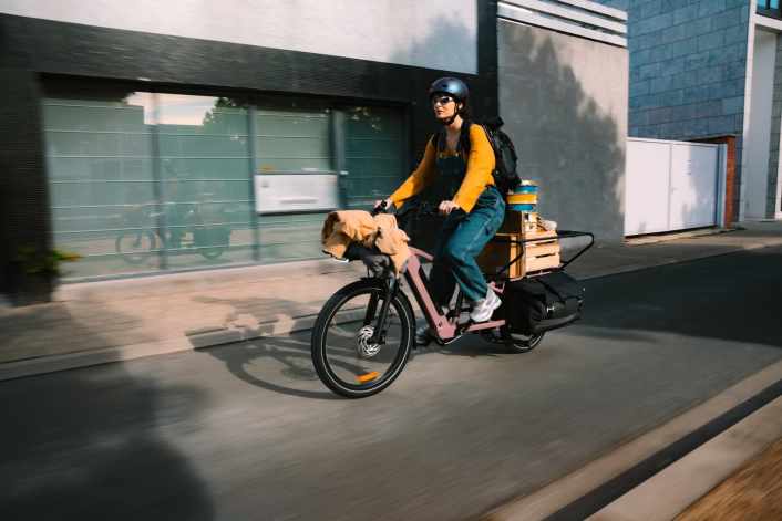 Flexibel transportieren mit dem BʼTwin E Three 500