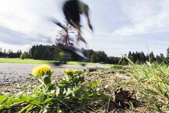 Checkliste für Reifen und Laufräder