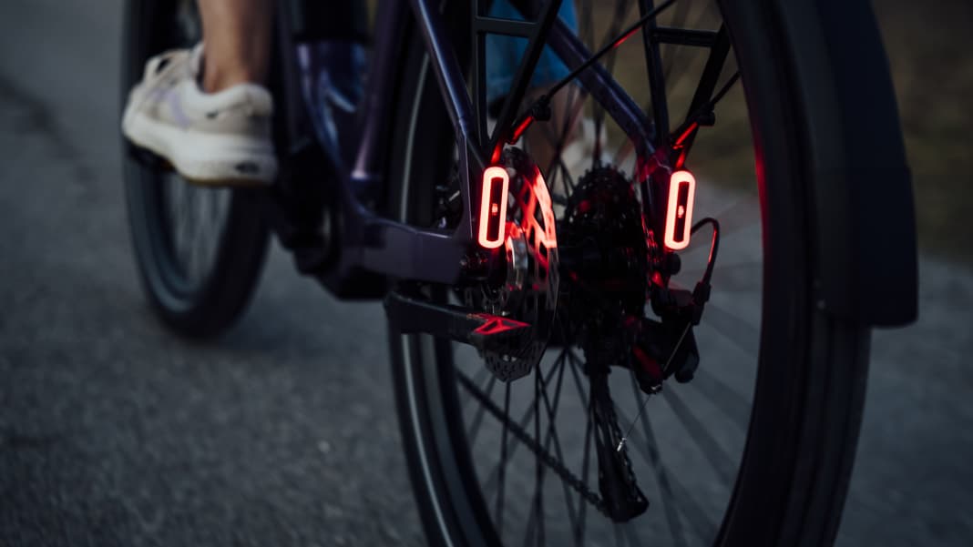 Preis-Leistungs E-Bikemarke startet durch