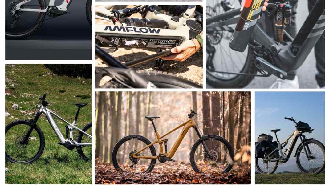 10 Avinox-Bikes mit entnehmbarer Batterie
