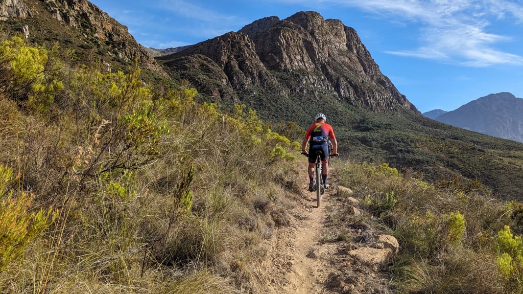 BIKE das Mountainbike Magazin News Tests Touren BIKE