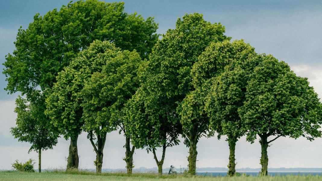 Die 2807 Höhenmeter von Hamburg