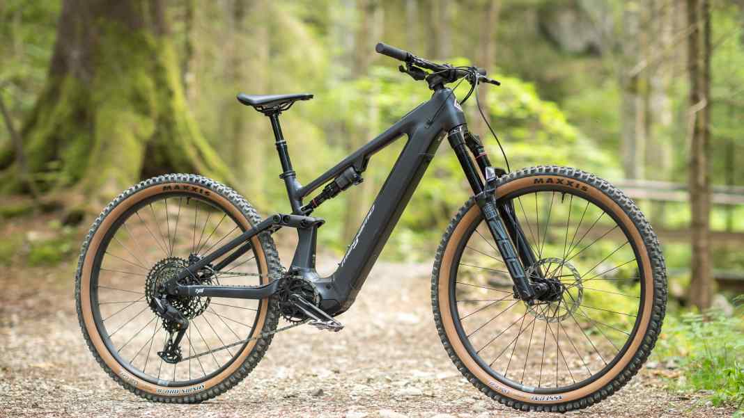 Avinox Preis-Kracher im Test