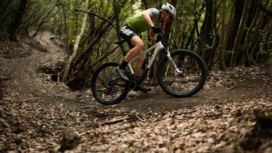XC in voller Blüte
