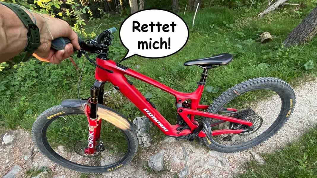 Minimal-Assist-Bikes: Vom Aussterben bedroht, doch wieso nur?