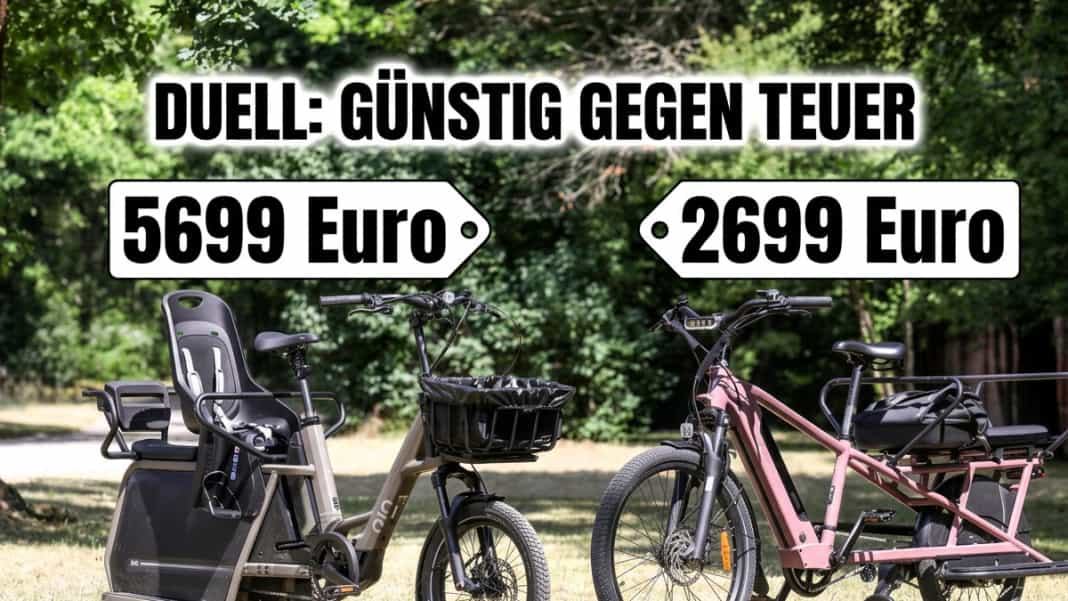 Wie viel darf ein Lastenrad kosten?