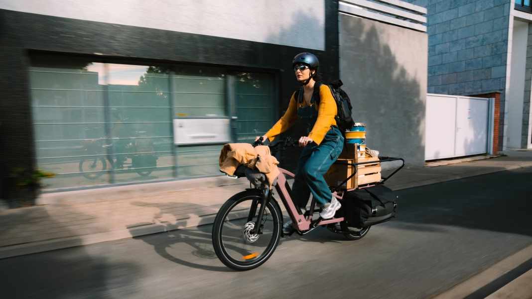 Flexibel transportieren mit dem BʼTwin E Three 500