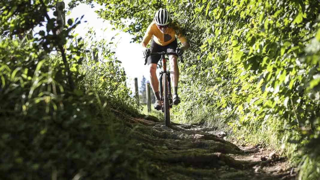 Canyon, Cannondale, Lee Cougan