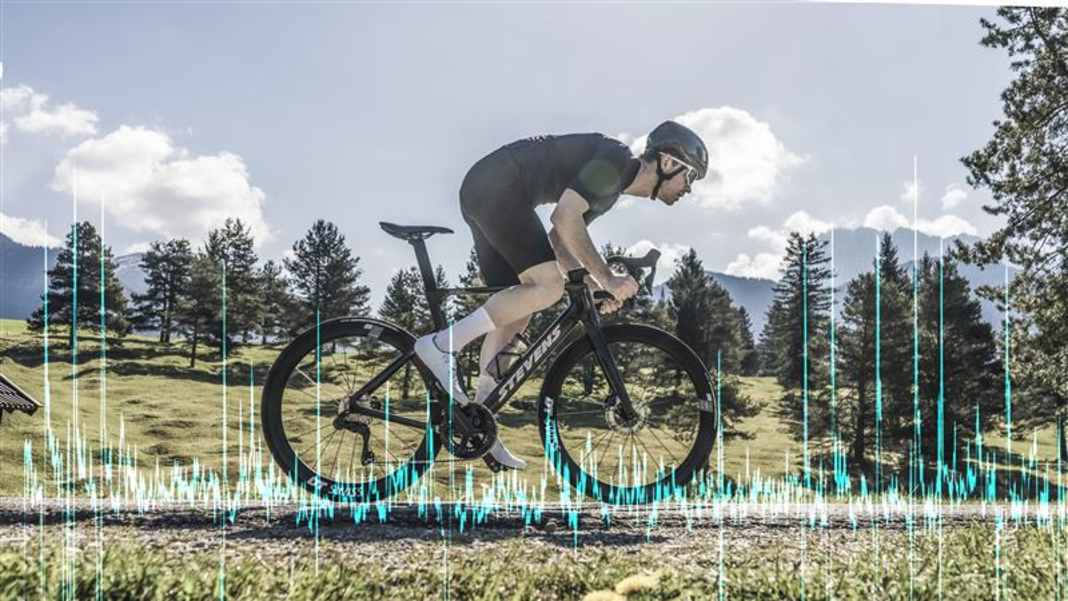 Sinnvoll oder überbewertet?