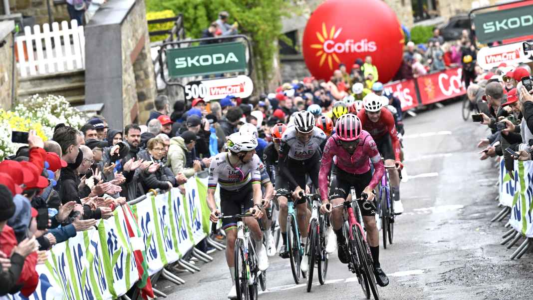 Große Chance für Talente