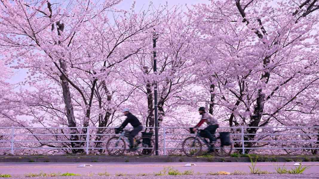 Von der Tour de France der Frauen in den 80ern bis ins echte Kurierleben