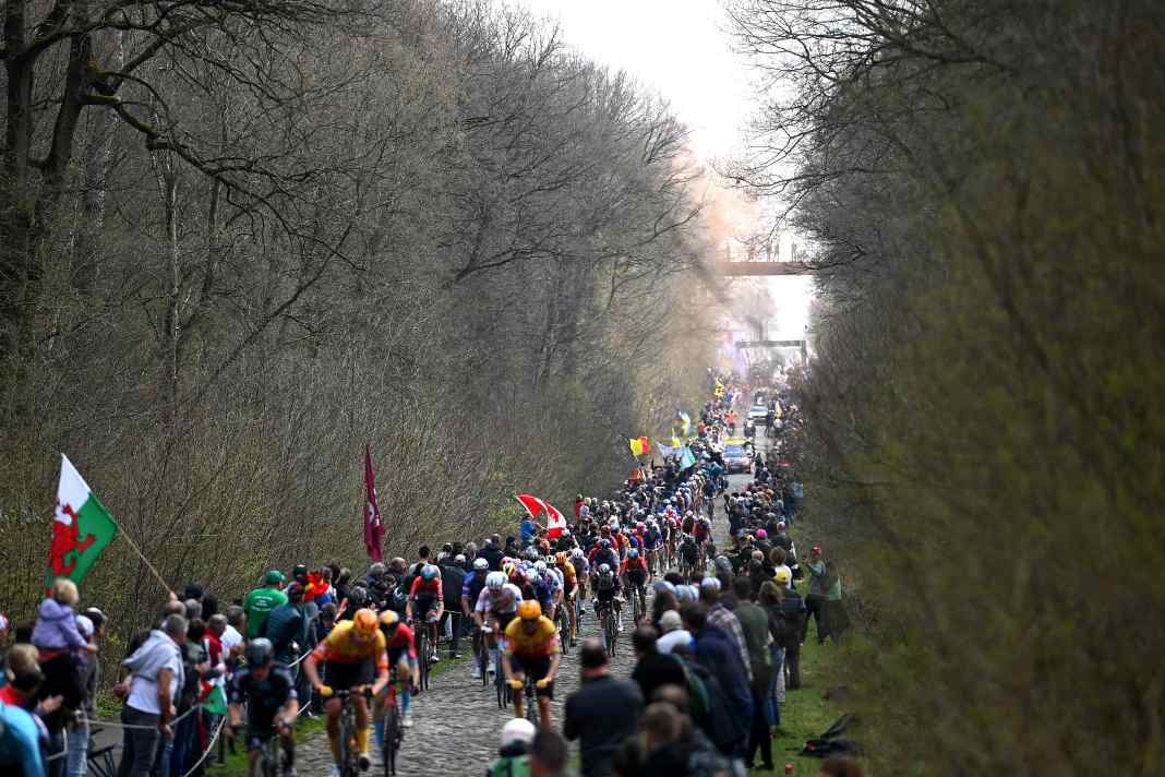 Schikane vor Wald von Arenberg