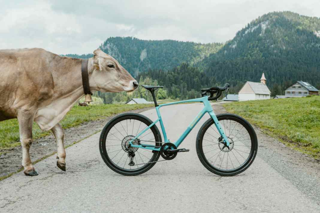 Simplon GRID :eLight: für Tour & Alltag