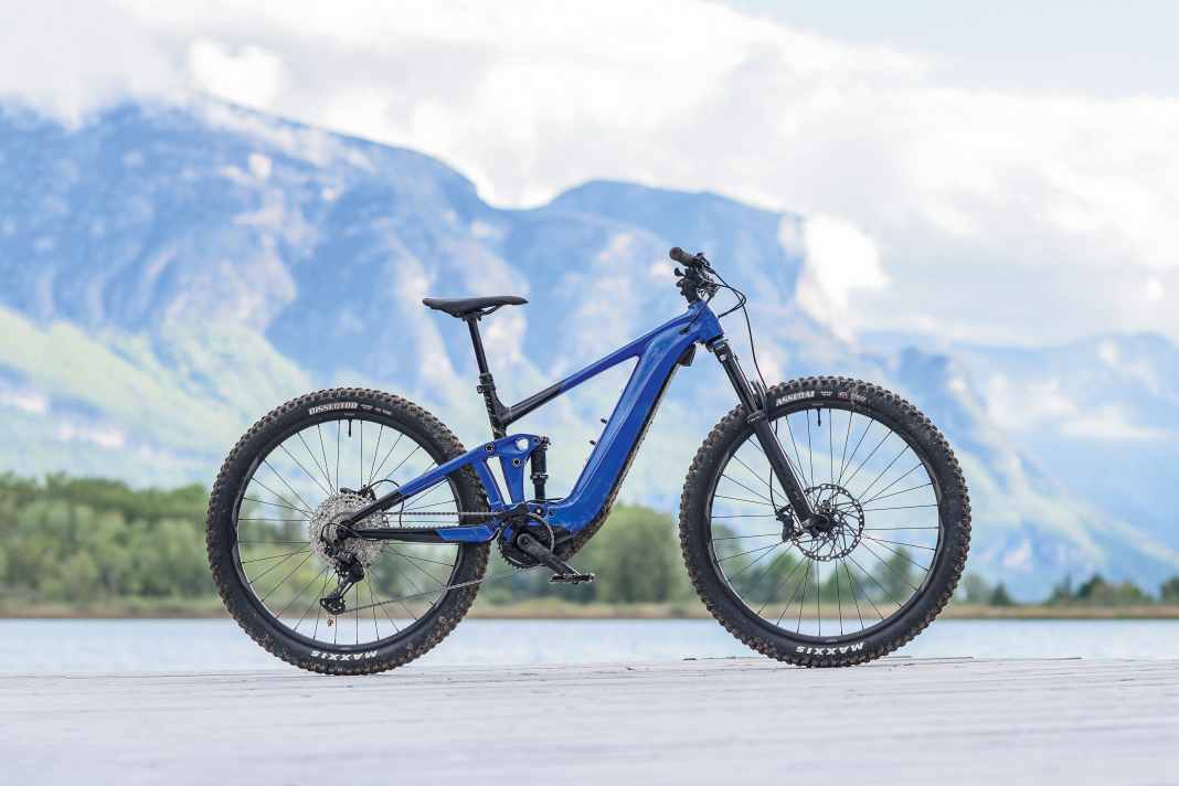 Giant Trance X E+ 2 im EMTB-Lesertest