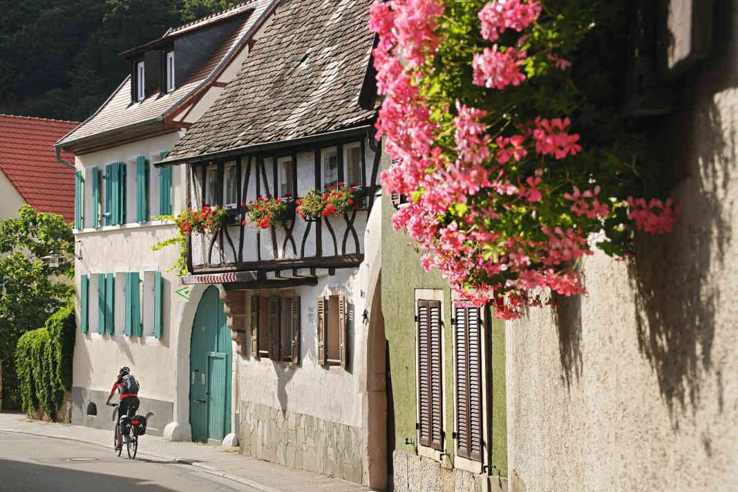 266 Kilometer Radrunde durch die Pfalz
