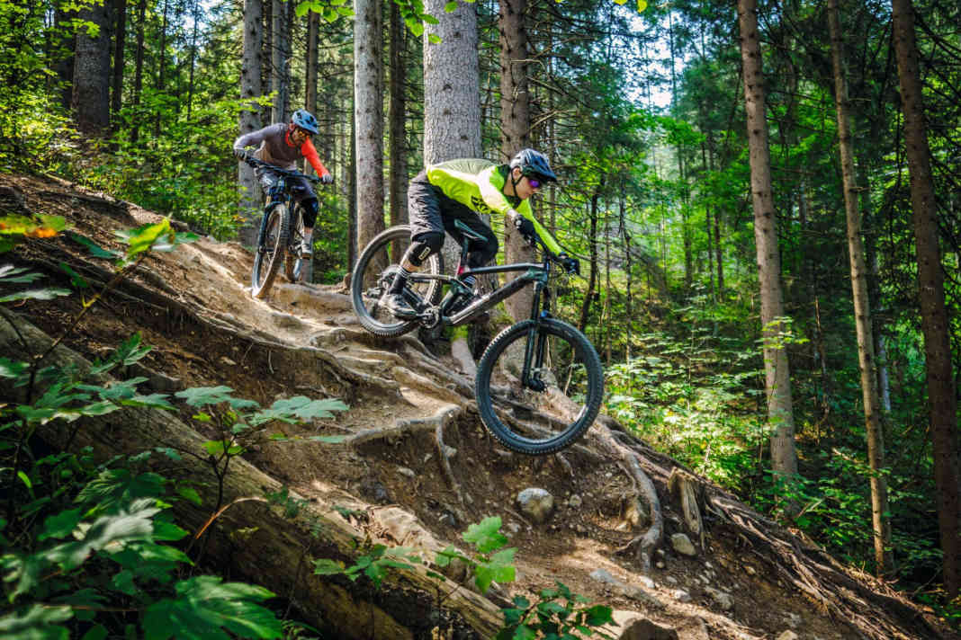 Rocky Mtn. Altitude vs. Trek Slash