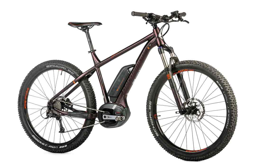 E-Hardtail Bergamont E-Roxter 6.0 Plus im Test